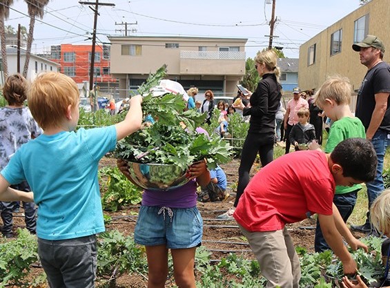 Albinas Markevicius, President of Roque & Mark Co., donates vacant lot for Urban Garden Project in conjunction with Upward Bound House