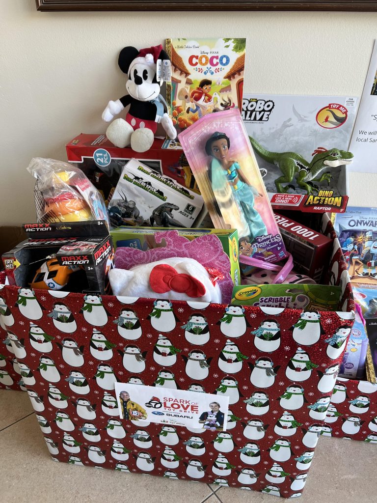 Roque and Mark » Roque & Mark’s Annual Toy Drive for Spark of Love