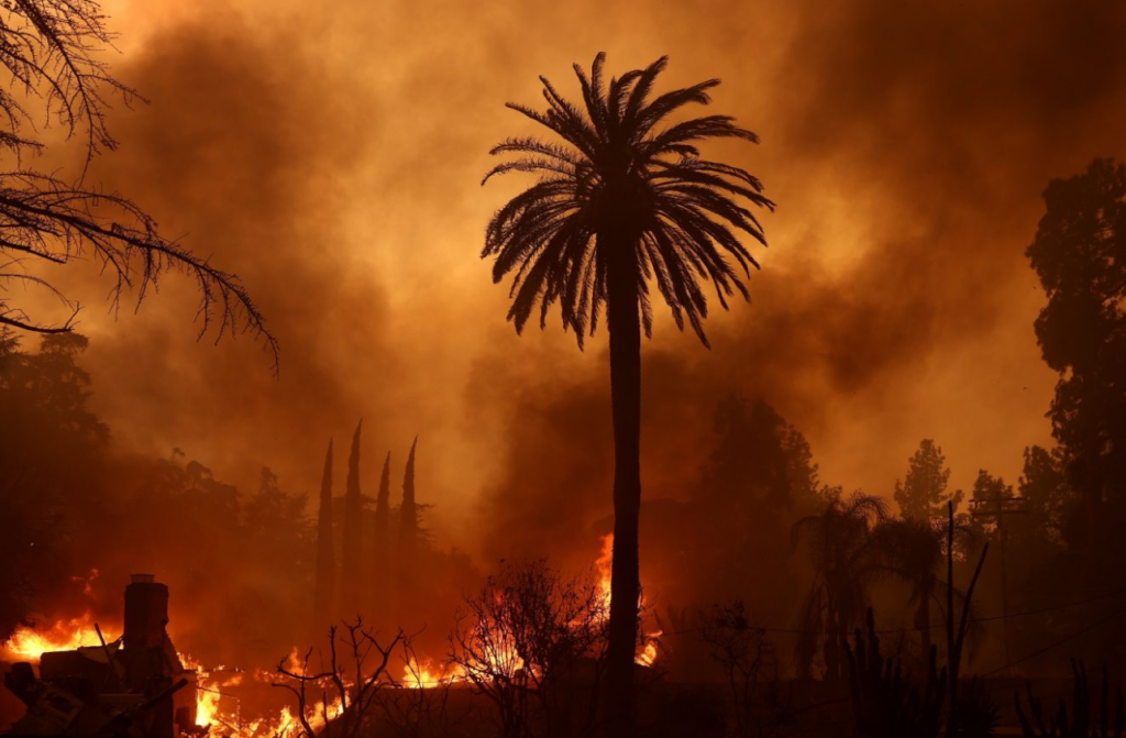 Support and Resources for Fire Victims: Santa Monica and Los Angeles Updates